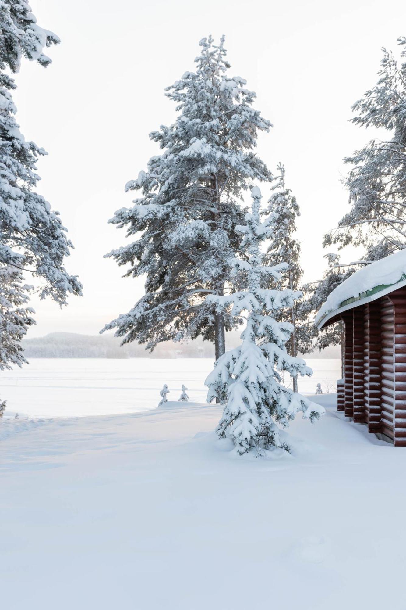 Lapland Arctic Cabins Kemijarvi Exterior photo