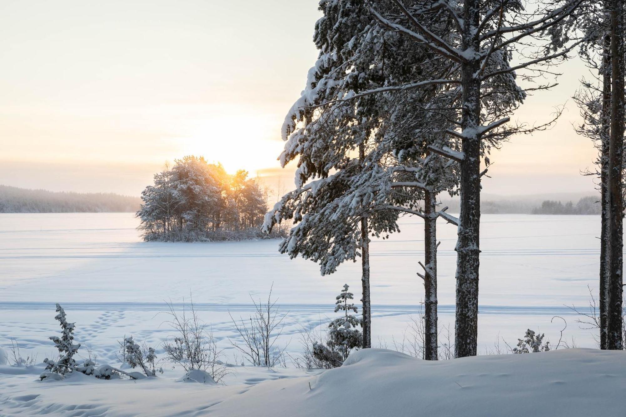 Lapland Arctic Cabins Kemijarvi Exterior photo